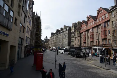 DSC_7380 (Large).JPG